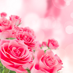 Fototapeta na wymiar Natural pink roses background