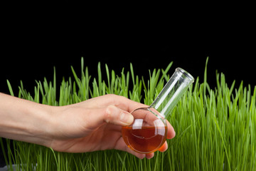 Hand with a test tube and grass. Fertilizer