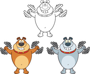 Bulldog Holding Dumbbells Cartoon Characters  Collection Set