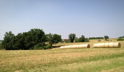 balle di fieno