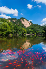 Fototapeta premium Mountain ponds