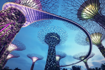 Supertree Grove in the Graden by the Bay in Singapore - obrazy, fototapety, plakaty