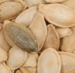 Close up of pumpkin seeds.