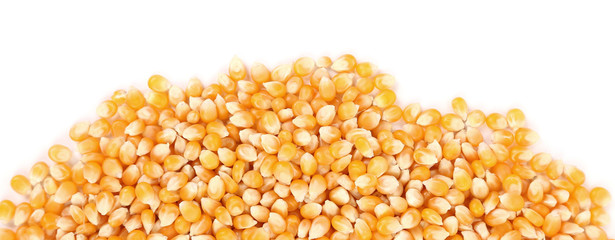 Close up of corn grains.