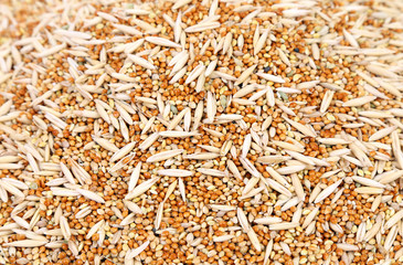 Closeup of wheat grains.