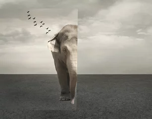 Rolgordijnen Elephant © vali_111