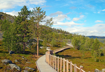 Alta, coast with rock drawings, rock art in Alta, Norway, UNESCO © Pecold