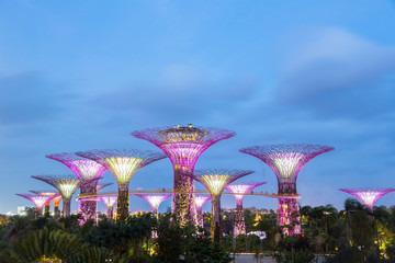 Naklejka premium Singapore Gardens by the Bay