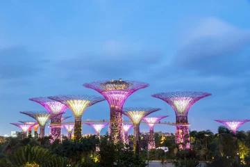 Rolgordijnen Singapore Gardens by the Bay © vichie81