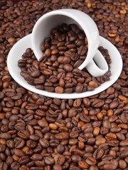 A white cup with many coffee beans on coffe background