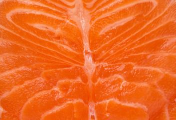 raw salmon steak