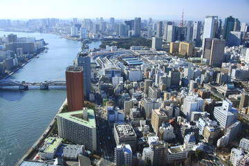 Sumida River, the Tsukiji market, and Tokyo Tower