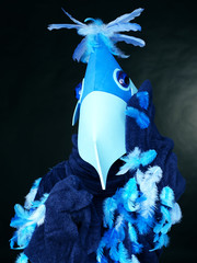 Funny bird