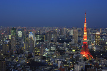 Evening View of Roppongi area and Tokyo Tower