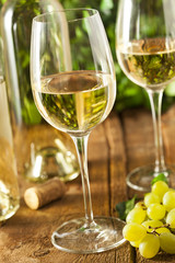 Fototapeta premium Refreshring White Wine in a Glass