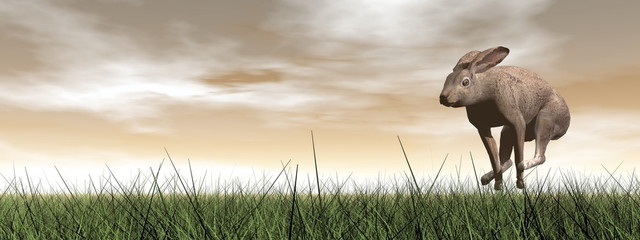 Running hare - 3D render © Elenarts