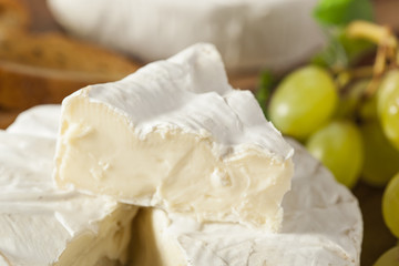 Fototapeta na wymiar Organic Homemade White Brie Cheese