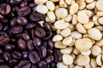roast and not roast coffee beans