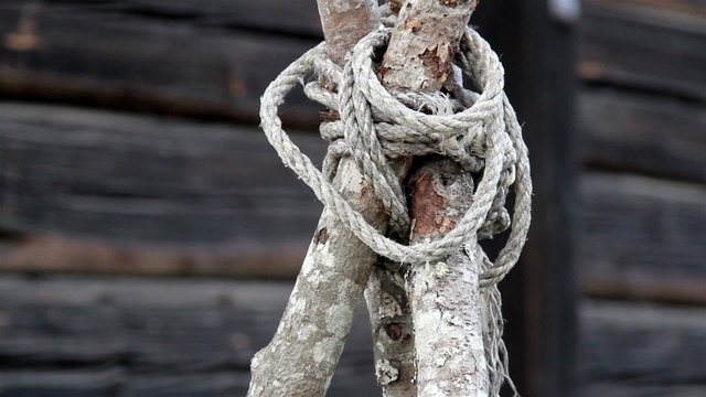 The 3 stem Wooden lath Sticks tied with a cord knot