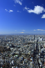 Cityscape of Shinjuku and Mt. Fuji