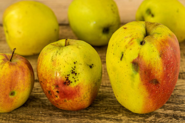 Äpfel, regionales, biologisches Produkt