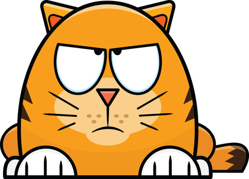 cat angry face cartoon cute 14320311 PNG