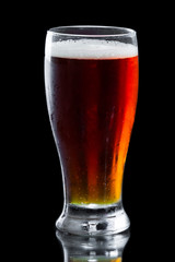 beer, amber ale