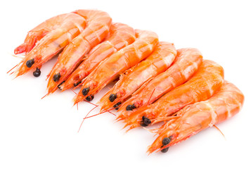 Shrimp