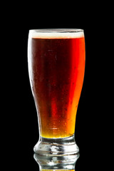 beer, amber ale