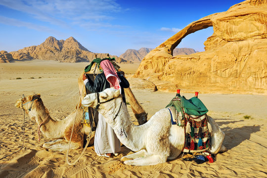 Bedouin man and his camels in the desert of Wadi Rum