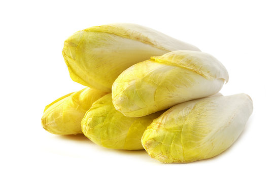 endives en vrac sur fond blanc