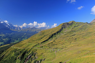grindelwald busalp schweiz