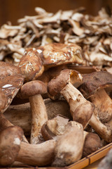 funghi nel cestino di vimini