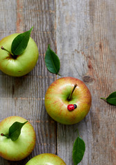 Green delicious apple