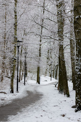 Winter road covered in snow