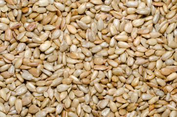 Dried And Salted Sunflower Seeds
