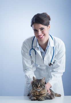 Veterinary and cat