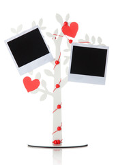 Holder in form of tree with instant photo cards isolated