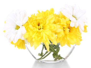 Beautiful chrysanthemum flowers in vase isolated on white