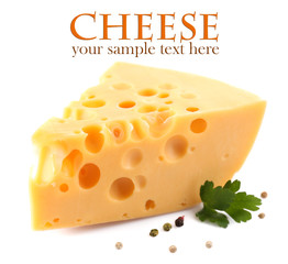 Piece of cheese on plate, isolated on white
