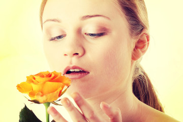 Fototapeta premium Rose
