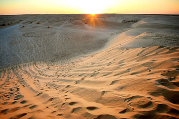 Sunset in Sahara desert