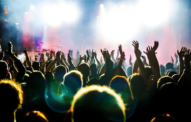 cheering crowd at concert