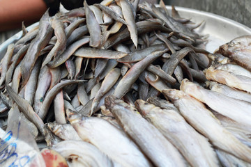 Fototapeta premium Fresh fish in the market.