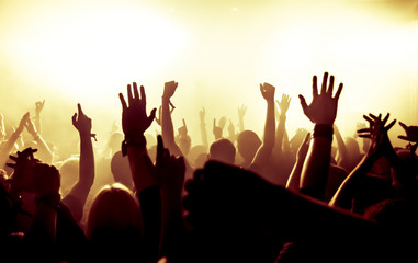 cheering crowd at concert