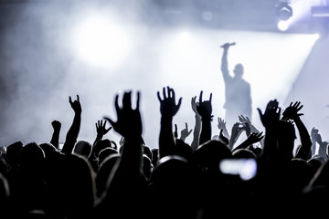 Fototapeta na wymiar Doping widzów na koncert rockowy koncert