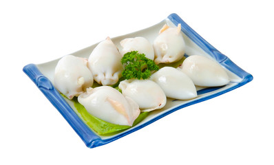 Fresh Calamari Close-Up