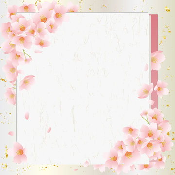 桜　 春　カード