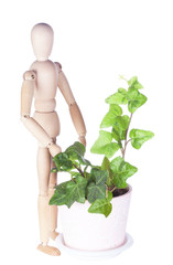 wooden dummy  stand near a houseplant