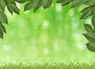 grass and foliage on bright green background